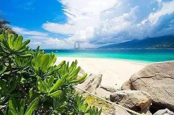 虫虫助手下载