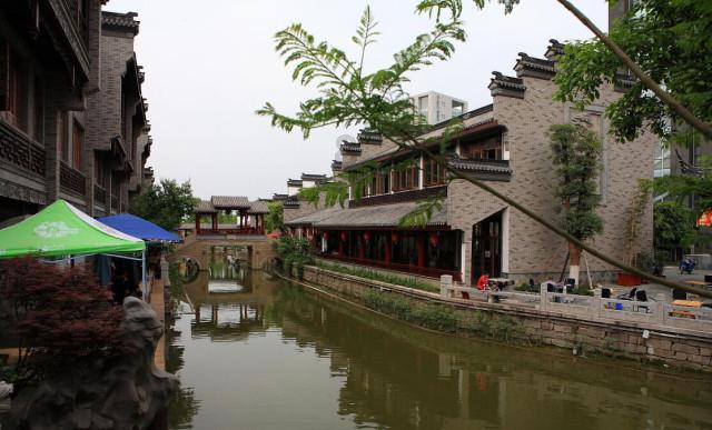动物帮帮忙保卫家园